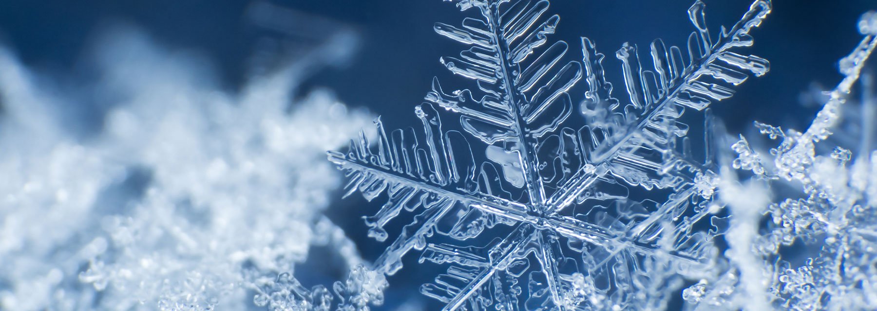 A Spark of Science - Snowflake Science | Glasgow Science Centre