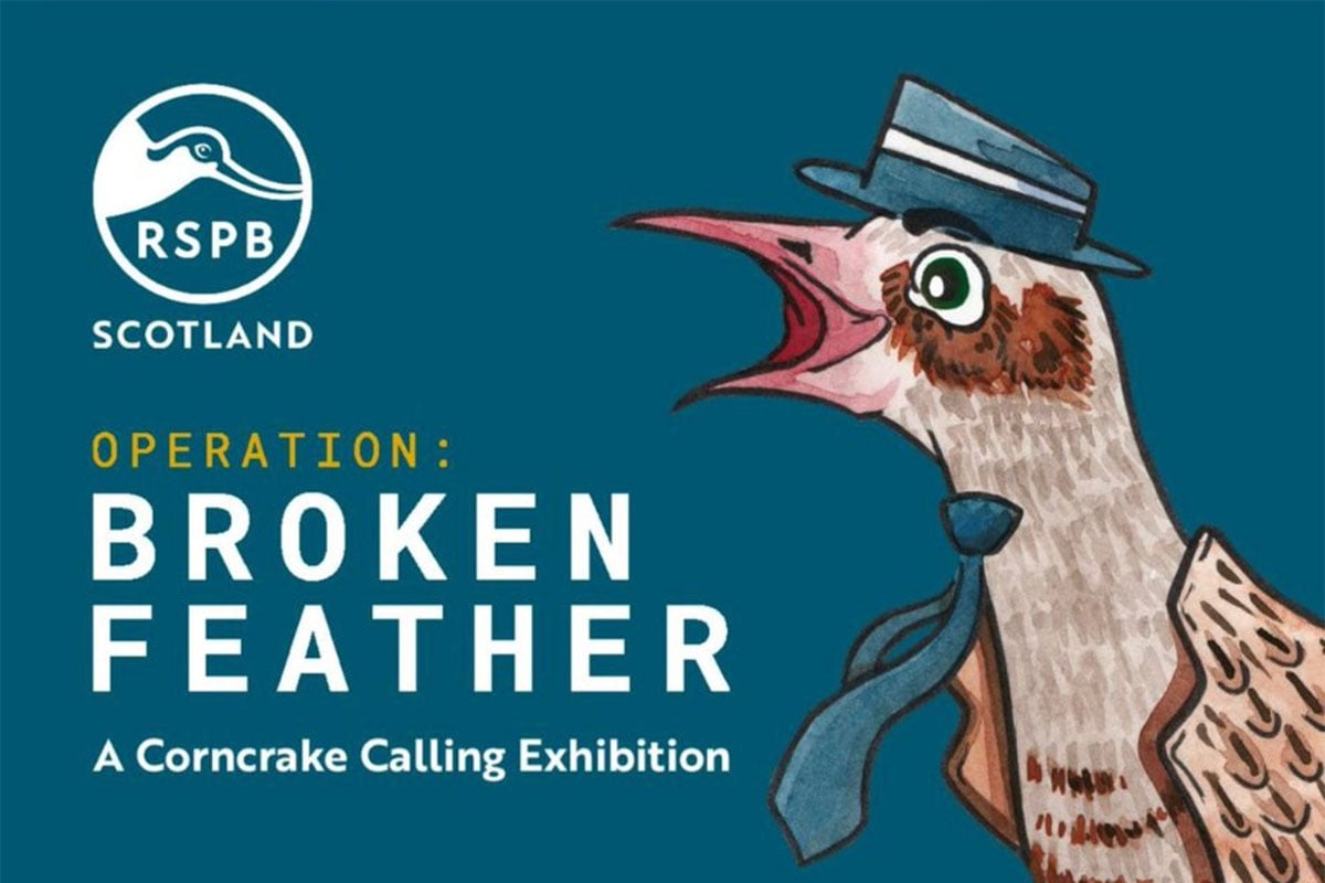 Operation: Broken Feather - RSPB Scotland