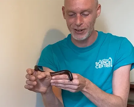 Presenter David holds a millipede