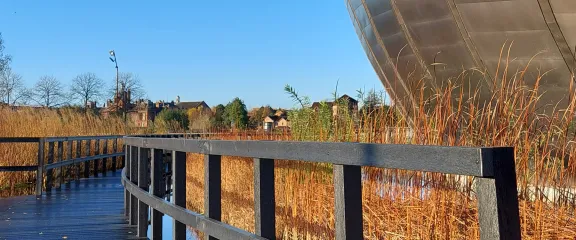 A wooden boardwalk curls through the wetlands surrounding the IMAX building at Glasgow Science Centre