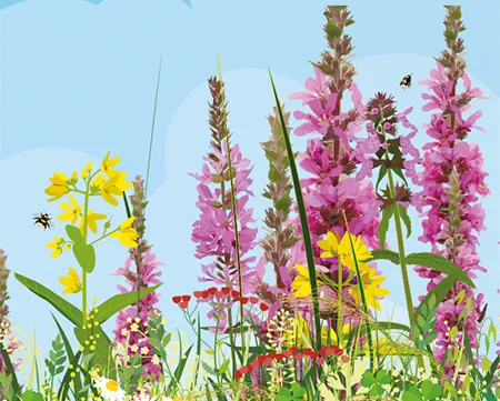 Illustration of flowers and insects against a blue sky