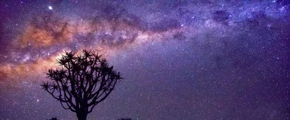 Nambia night sky