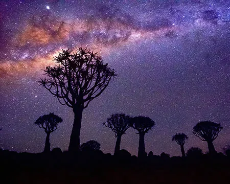 Nambia night sky