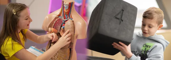 a child explores a plastic torso model whilst another builds a large archway 