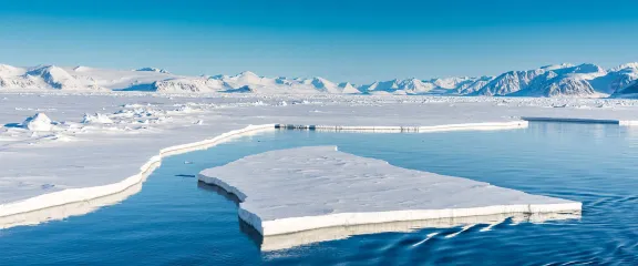 Arctic ice and water in the summer