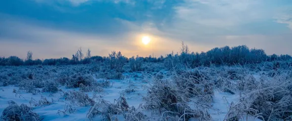 A low winter sun rises over a snowy landscape