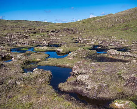 A wetland area forming peat in Shetland