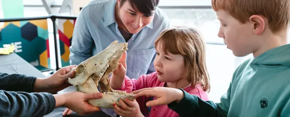 Two children and an adult interact with an animal skull held by an expert