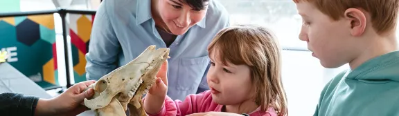 children interact with an expert and their activity