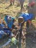 GALLANT - The Roots Project participants planting tree saplings
